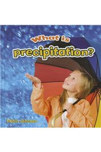 What Is Precipitation?