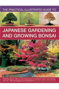 The Practical Illustrated Guide to Japanese Gardening and Growing Bonsai: Essential Advice, Step-By-Step Techniques and Projects, Plans, Plant Listing