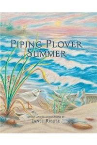 Piping Plover Summer