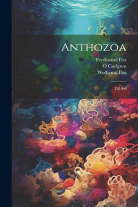 Anthozoa