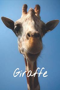 Giraffe Sketchbook