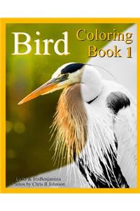 Bird Coloring Book 1