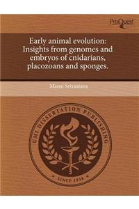 Early Animal Evolution