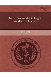 Transverse Modes in Large-Mode-Area Fibers