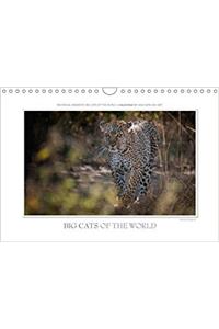 Emotional Moments: Big Cats of the World / UK-Version 2018