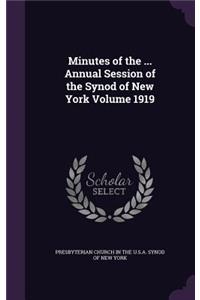 Minutes of the ... Annual Session of the Synod of New York Volume 1919