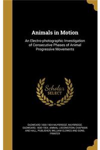 Animals in Motion