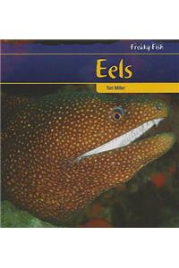 Eels