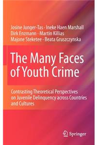 Many Faces of Youth Crime