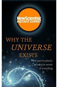 Why the Universe Exists