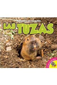 Las Tuzas