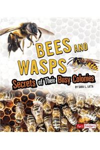 Bees and Wasps