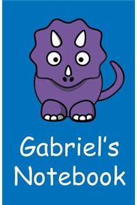 Gabriel's Notebook