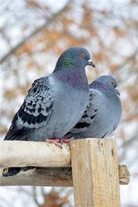 Two Pretty Pigeons on a Fence Journal