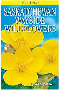 Saskatchewan Wayside Wildflowers