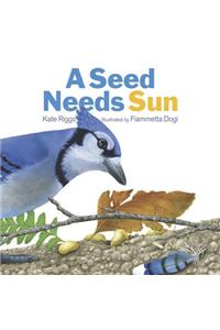Seed Needs Sun