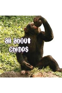 All about Chimps