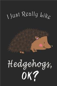 I Just Really like Hedgehogs, OK ? Journal