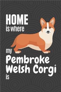 Home is where my Pembroke Welsh Corgi is