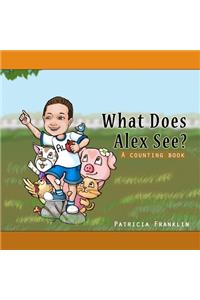 What Does Alex See