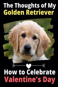 The Thoughts of My Golden Retriever