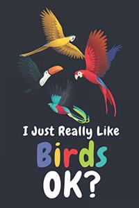 I Just Really Like Birds Ok
