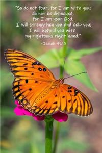 Isaiah 41