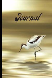 Golden Avocet Journal