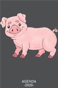 Agenda 2020
