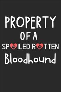 Property Of A Spoiled Rotten Bloodhound