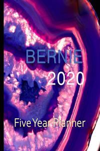 Bernie 2020 Five Year Planner