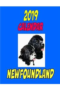 2019 Calendar Newfoundland