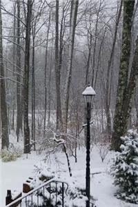 2019 Daily Planner Winter Day Cold Snowy 384 Pages