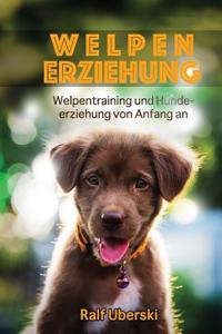 Welpen Erziehung