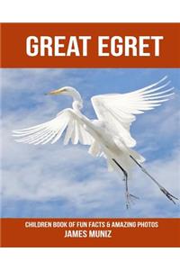 Great Egret: Children Book of Fun Facts & Amazing Photos