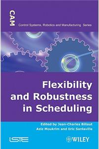 Flexibility and Robustness in Scheduling