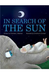 In Search of the Sun