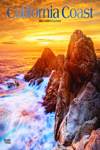 California Coast 2023 Square Foil