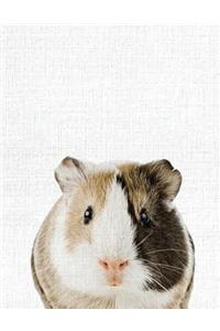Cute Animal Composition Book Guania Pig