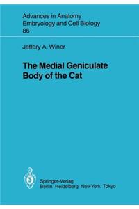 Medial Geniculate Body of the Cat