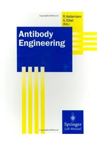 Antibody Engineering