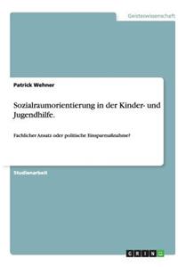 Sozialraumorientierung in der Kinder- und Jugendhilfe.