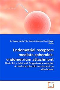 Endometrial receptors mediate spheroids-endometrium attachment