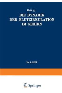 Die Dynamik Der Blutzirkulation Im Gehirn