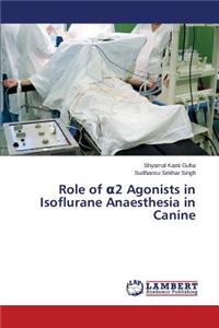 Role of α2 Agonists in Isoflurane Anaesthesia in Canine