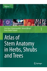 Atlas of Stem Anatomy in Herbs, Shrubs and Trees, Volume 1