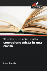 Studio numerico della convezione mista in una cavità