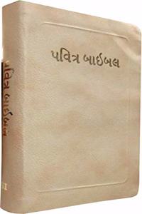 Gujarati Holy Bible BL gold gilt