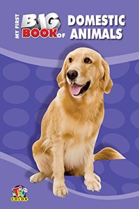 My First Big Book - Domestic Animals