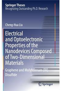 Electrical and Optoelectronic Properties of the Nanodevices Composed of Two-Dimensional Materials